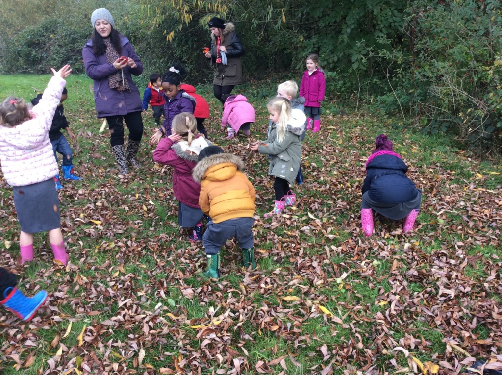 pre-school children collecting leaves from forest floor