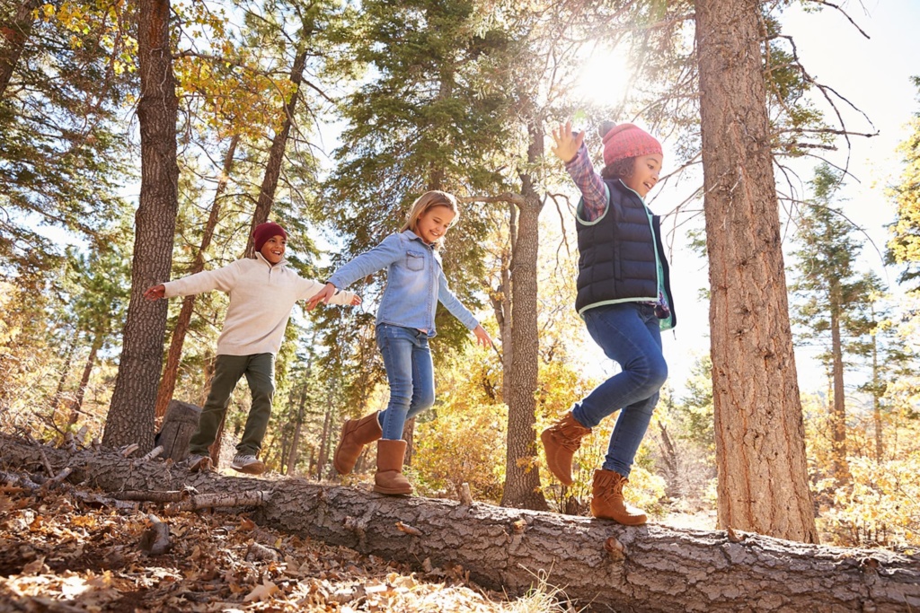 Children playing in woods