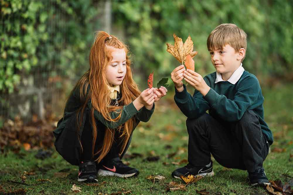 Primary school pupils learning leaves outside.